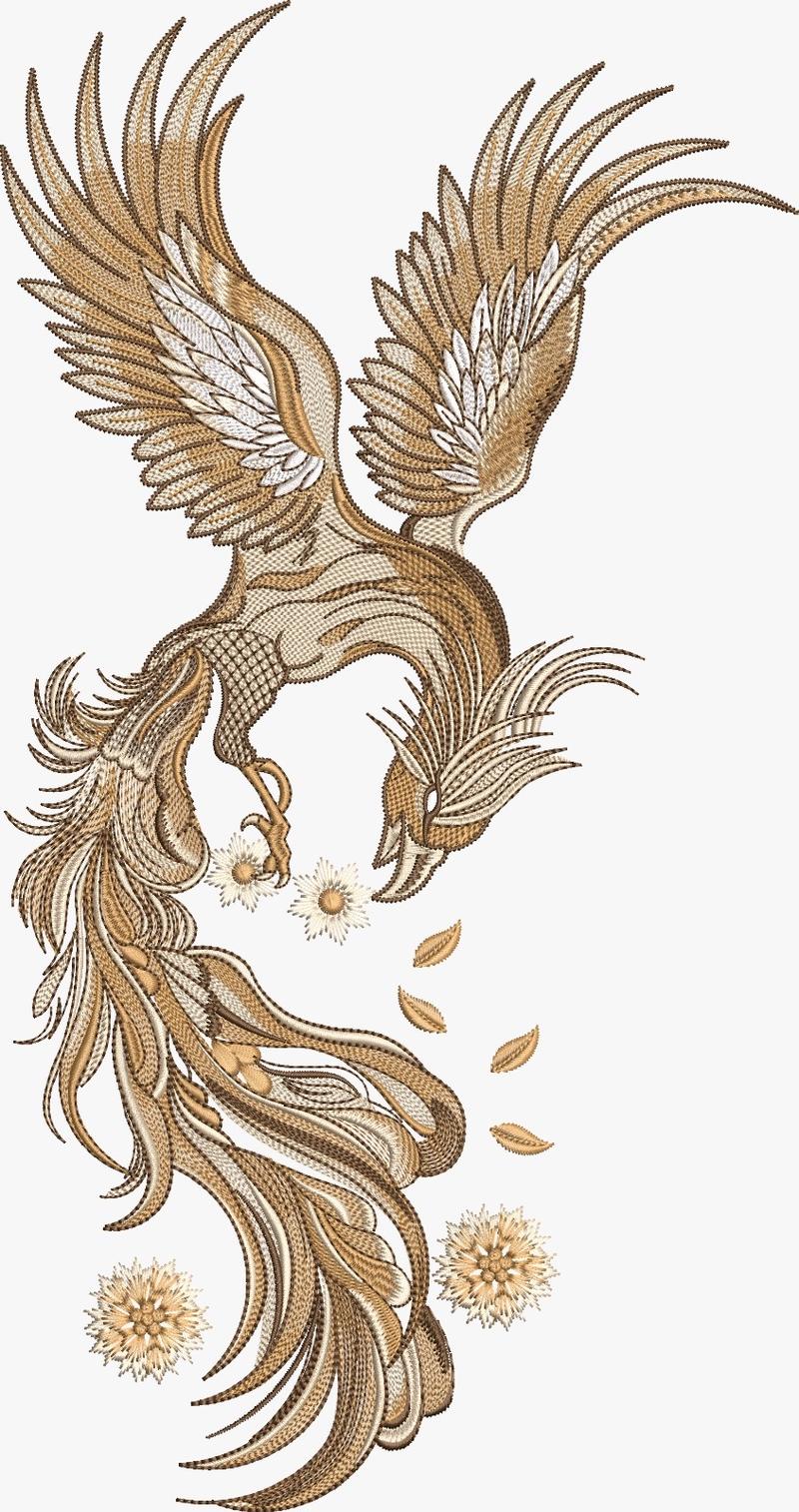 Bird Digitizing Portfolio