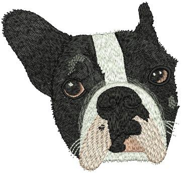 Pet portrait embroidery